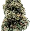 Fleur de CBD Goat Butter détourée, tête dense et pâle, couverte de trichomes