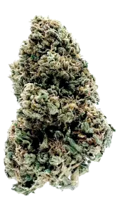 Photo de la fleur Goat Butter CBD de chez widaki à Perpignan