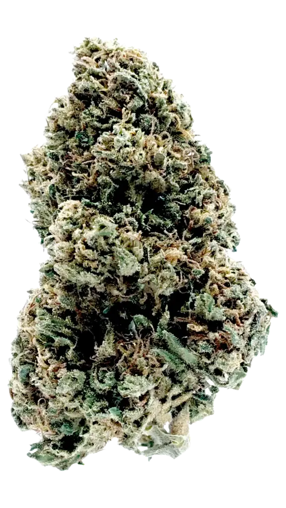 Photo de la fleur Goat Butter CBD de chez widaki à Perpignan