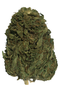 Photo de la fleur Goat Butter CBD de chez widaki à Perpignan