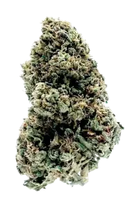 Photo de la fleur Goat Butter CBD de chez widaki à Perpignan