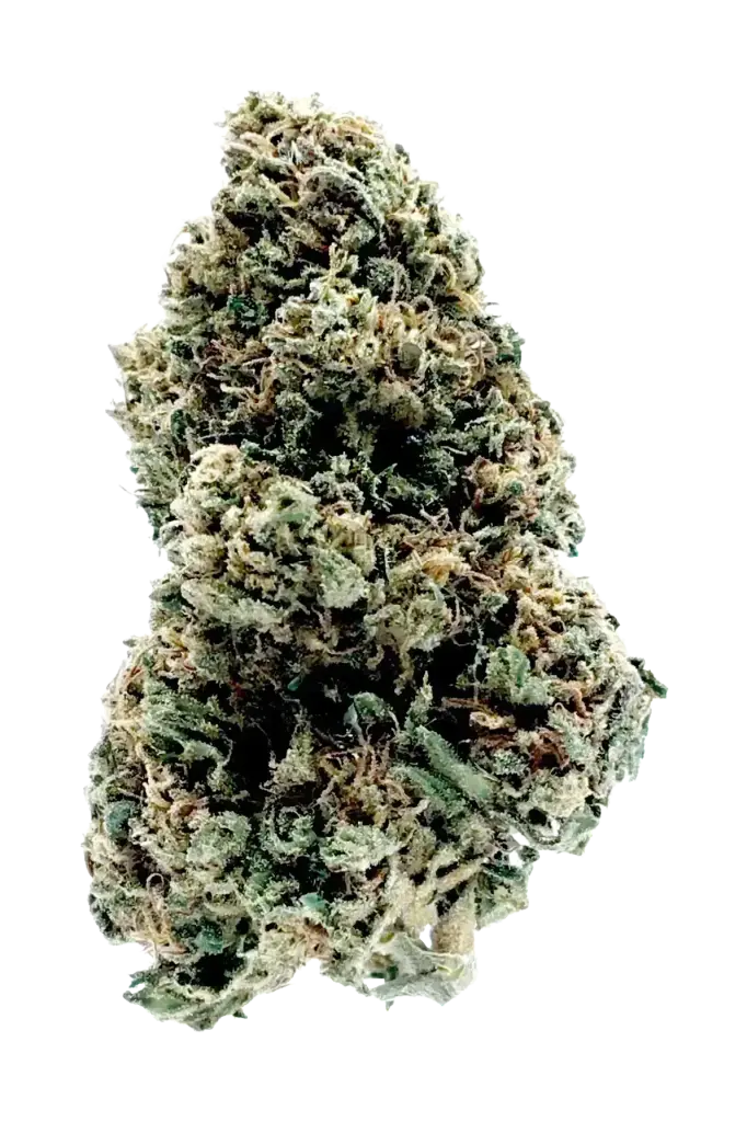 Photo de la fleur Goat Butter CBD de chez widaki à Perpignan