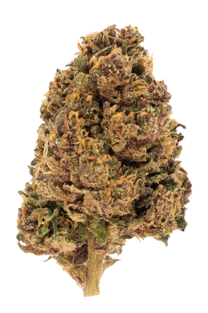 Photo de la fleur Legendary OG CBD de chez widaki à Perpignan