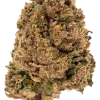 Fleur de CBD Legendary OG détourée, tête aux reflets violets et pistils cuivrés