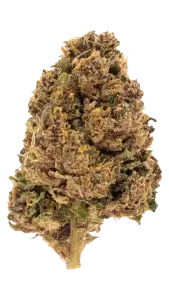 Photo de la fleur Legendary OG CBD de chez widaki à Perpignan