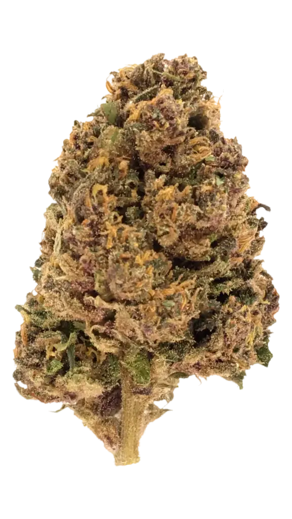 Photo de la fleur Legendary OG CBD de chez widaki à Perpignan