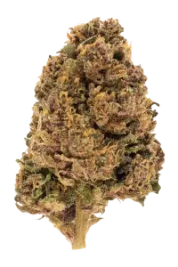 Photo de la fleur Legendary OG CBD de chez widaki à Perpignan