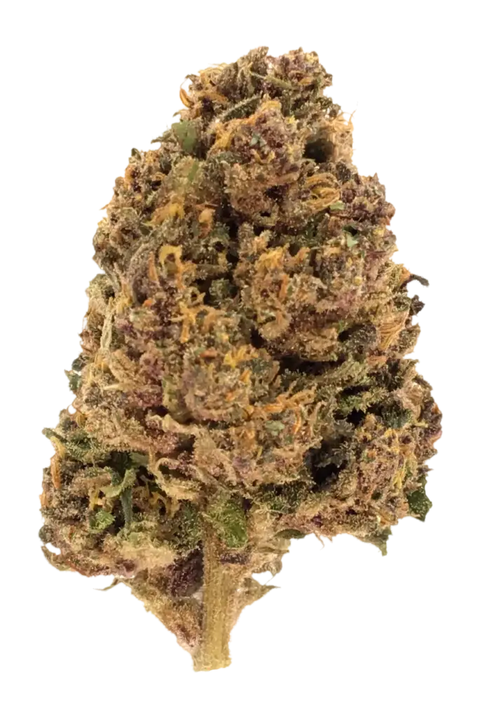 Photo de la fleur Legendary OG CBD de chez widaki à Perpignan