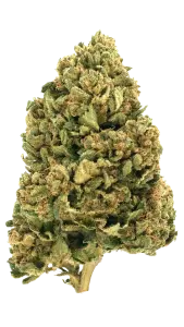 Photo de la fleur Payton's Strawberries CBD de chez widaki à Perpignan