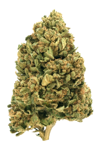 Photo de la fleur Payton's Strawberries CBD de chez widaki à Perpignan