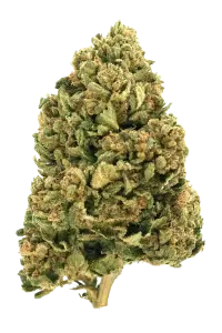 Photo de la fleur Payton's Strawberries CBD de chez widaki à Perpignan