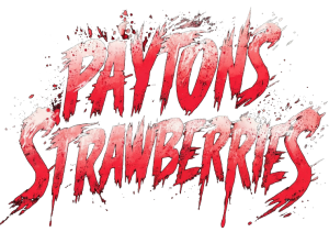Fleur CBD Payton's Strawberries Perpignan