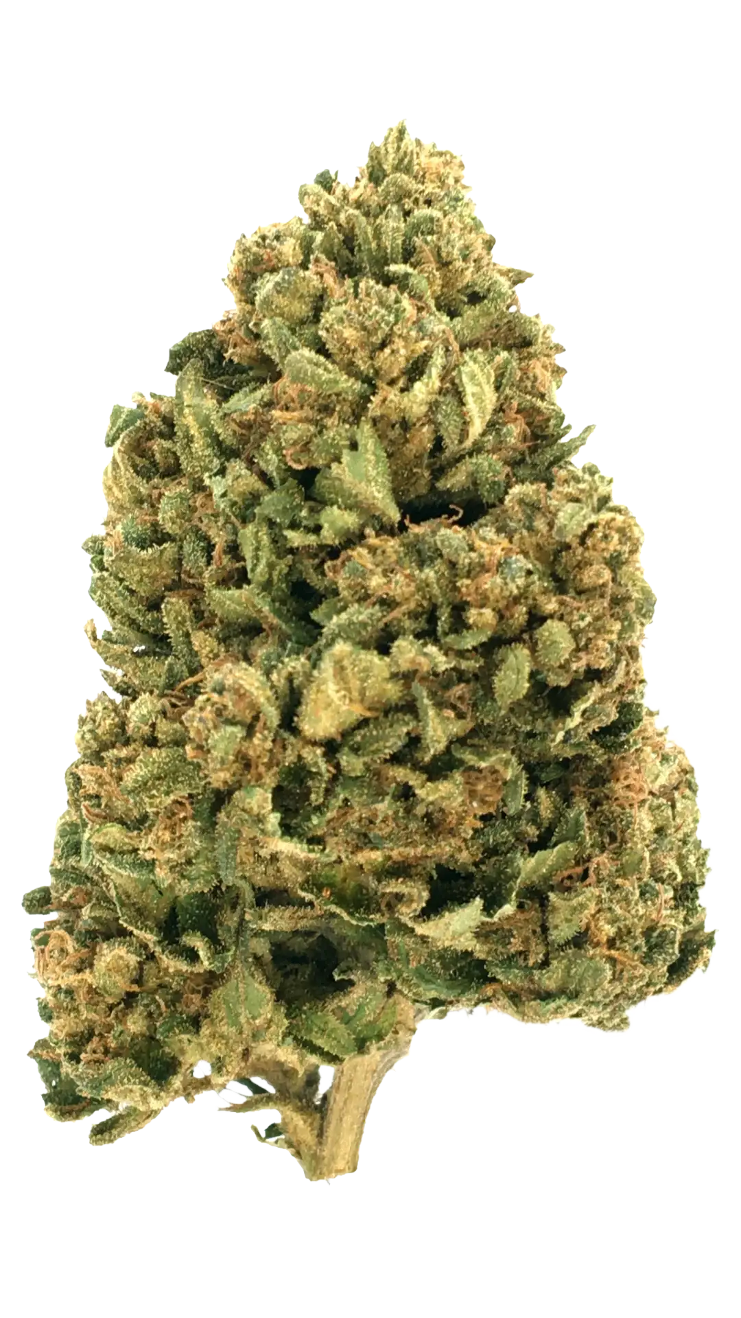 Payton&rsquo;s Strawberries CBD