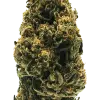 Fleur de CBD Skunk Jam détourée, tête conique verte aux pistils orangés