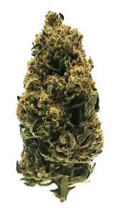 Photo de la fleur Skunk Jam CBD de chez widaki à Perpignan