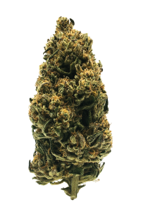 Photo de la fleur Skunk Jam CBD de chez widaki à Perpignan