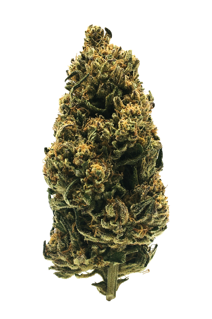 Photo de la fleur Skunk Jam CBD de chez widaki à Perpignan